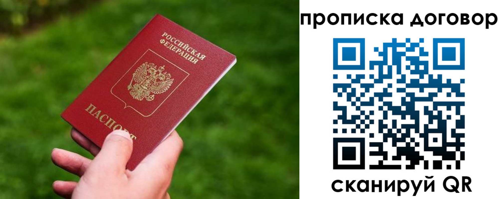 прописка гарантия в Жукове